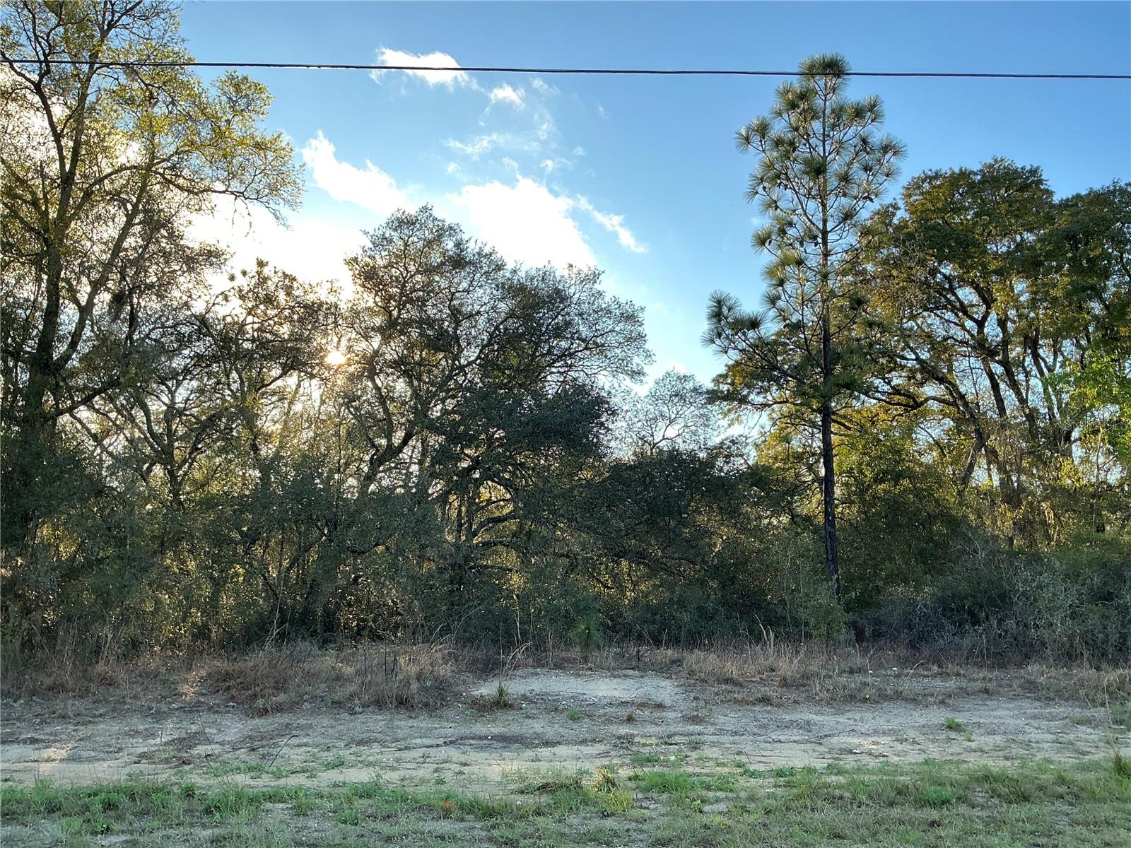 RAINBOW LAKES ESTATE - Land