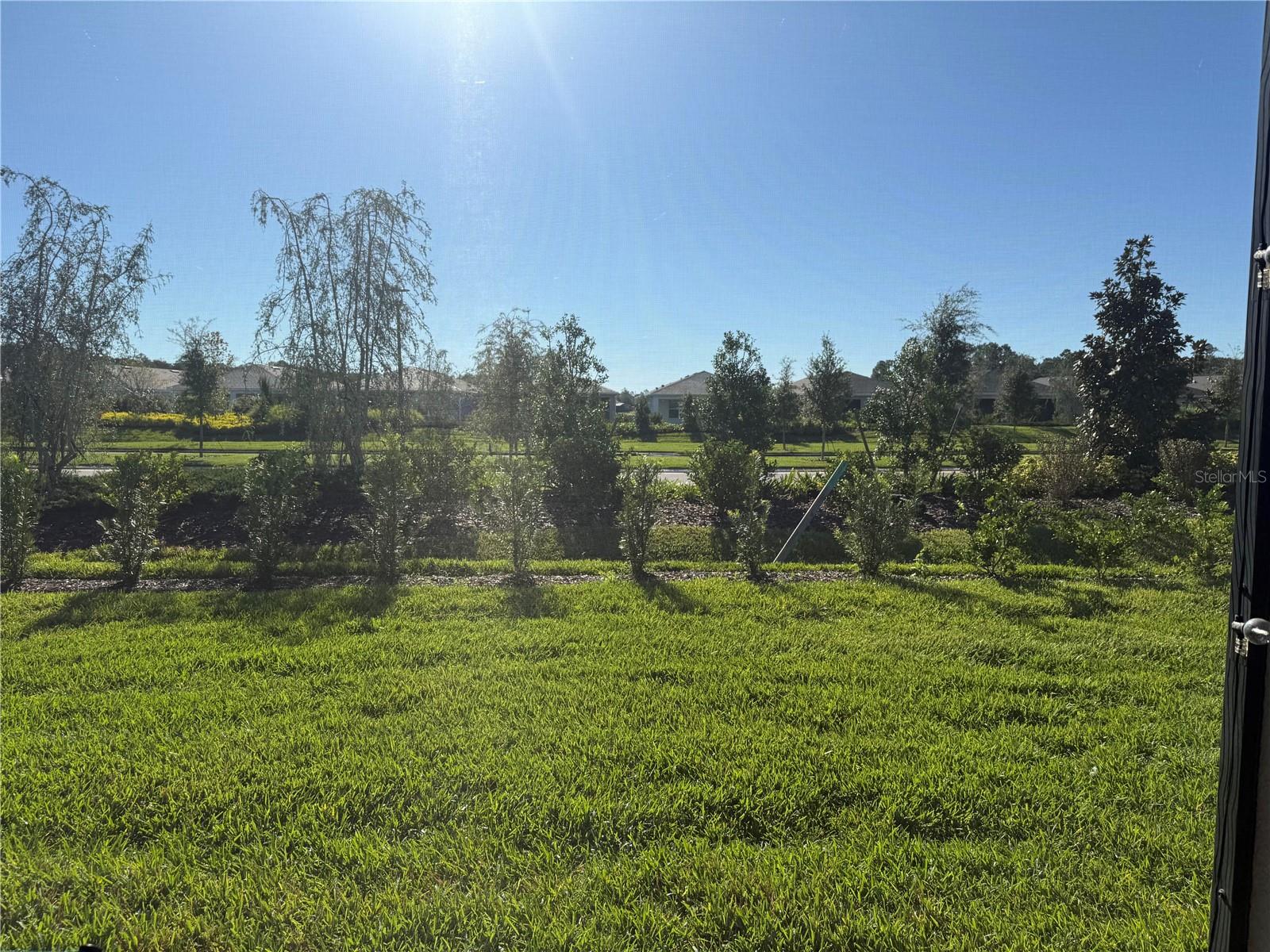 2361 DAISY TREE ROAD