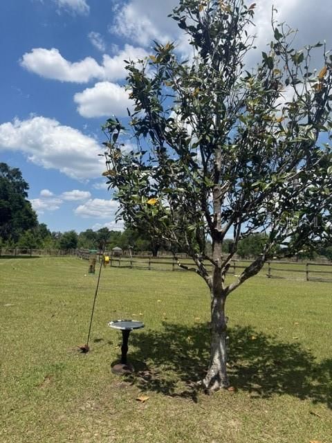 Tiny photo for 13551 NE 14th Avenue, Citra, FL 32113 (MLS # OM724621)