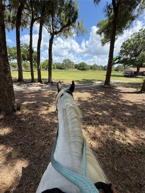Tiny photo for 13551 NE 14th Avenue, Citra, FL 32113 (MLS # OM724621)