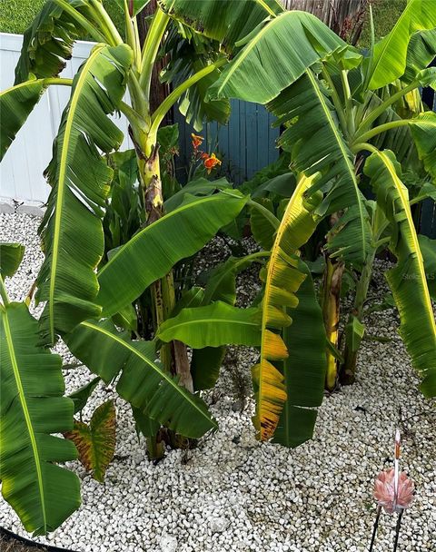 A home in NEW PORT RICHEY