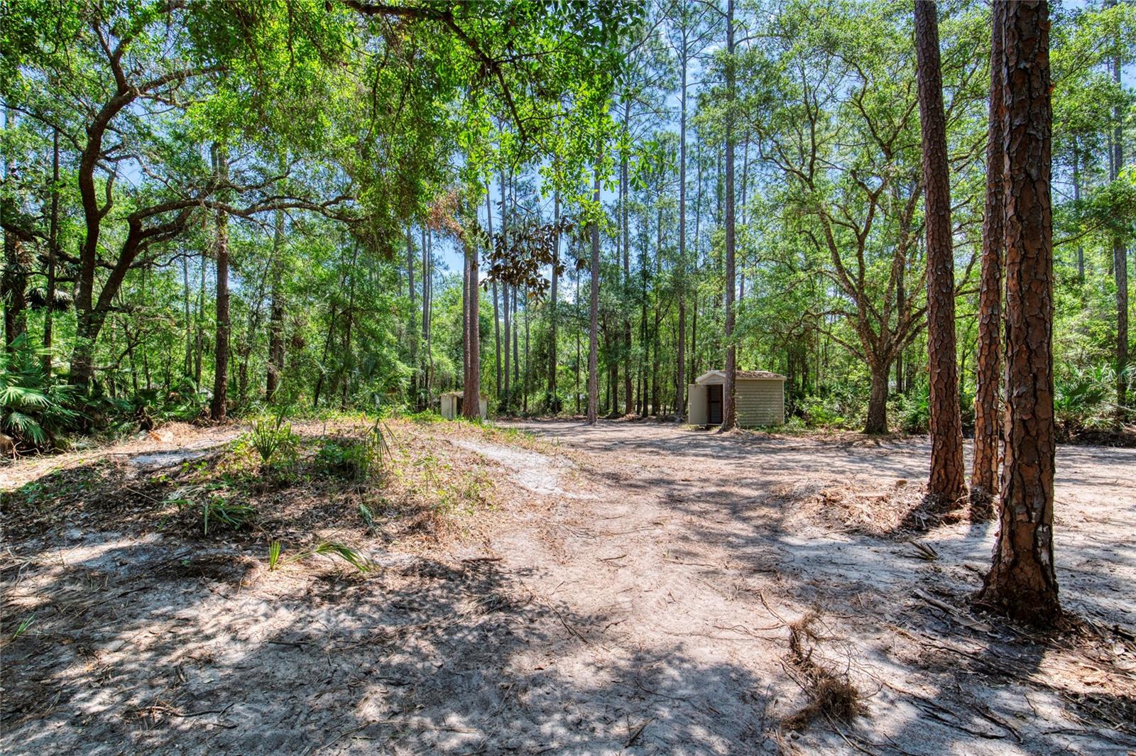 DAYTONA NORTH - Residential