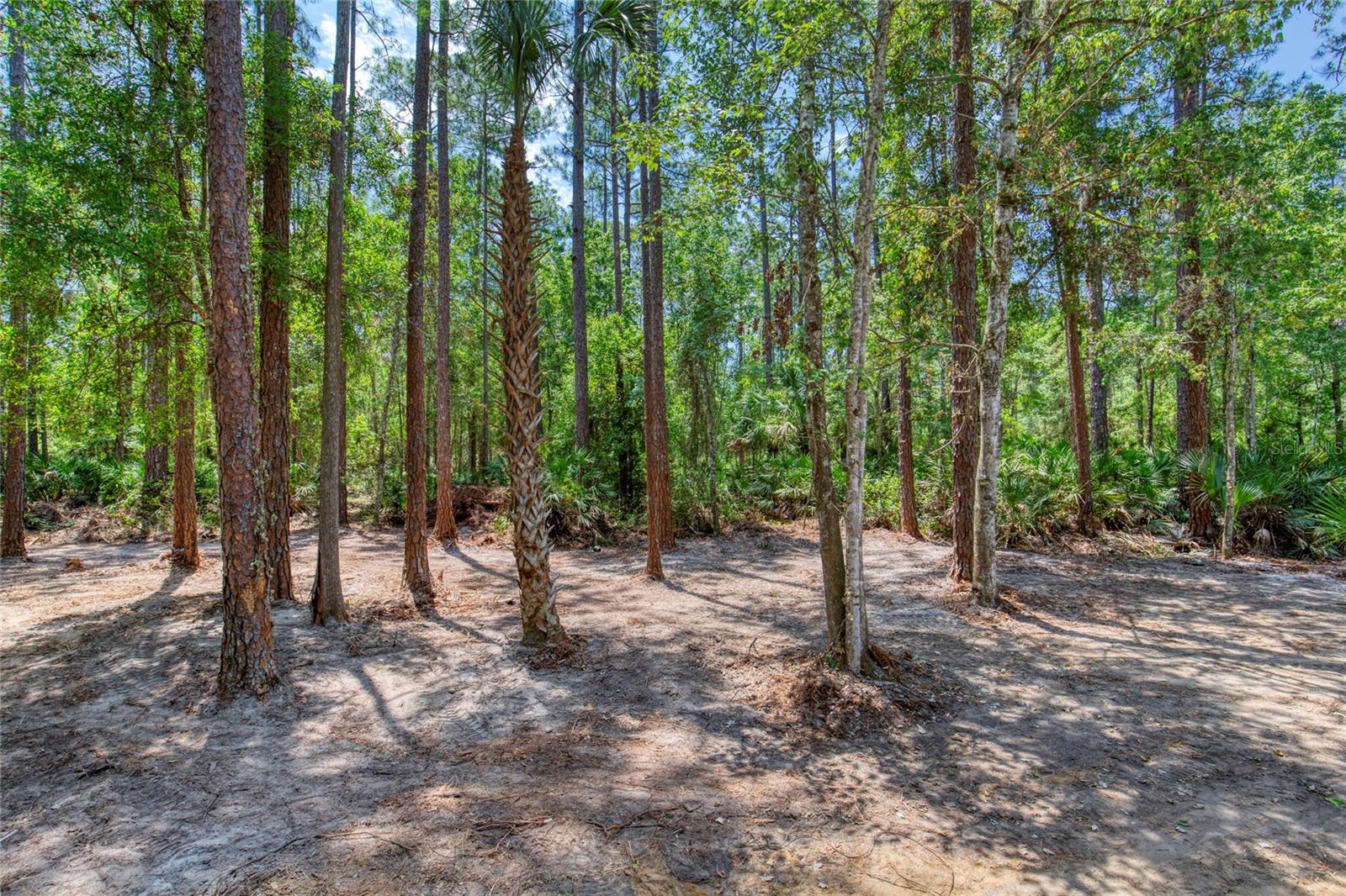 DAYTONA NORTH - Residential