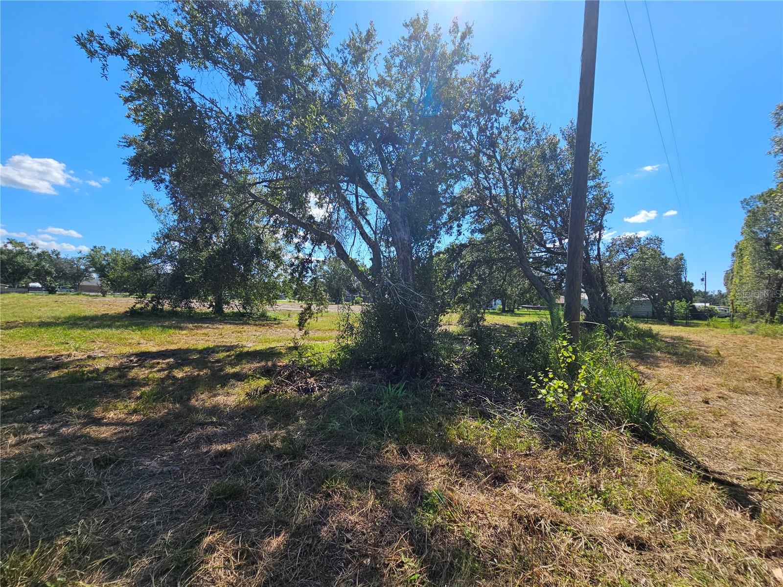 SADDLEHORN ESTATES - Land