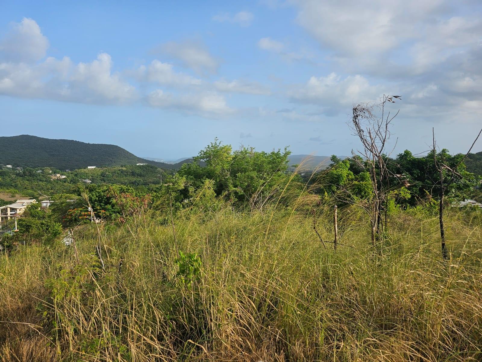 Land for Sale in Machuchal, Sabana Grande, PR! ??
Looking for a peaceful location with access to utilities to build your home or invest?
This is your opportunity!
Location: Machuchal, Sabana Grande, Puerto Rico
Lot Size: 9,200 meters
Utilities Available: Potable water and electricity
Clear title and paperwork
Quiet area with easy access
Perfect for a home, small farm, or investment project