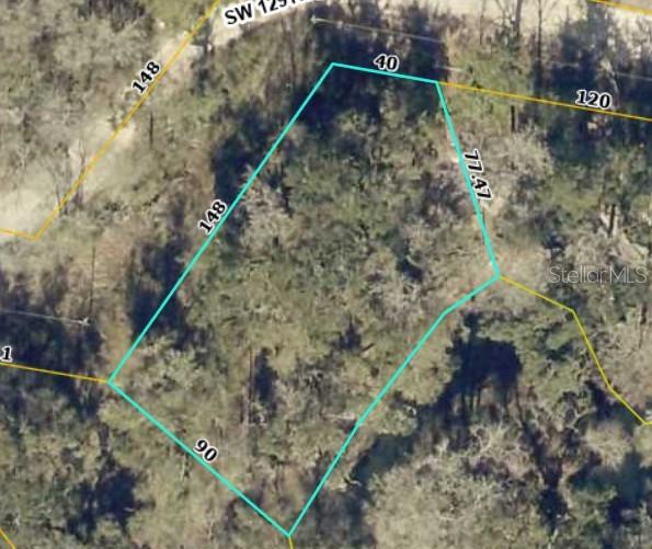 Photo of 2 SW 129th Boulevard, Webster, FL 33597 (MLS # OM731324)