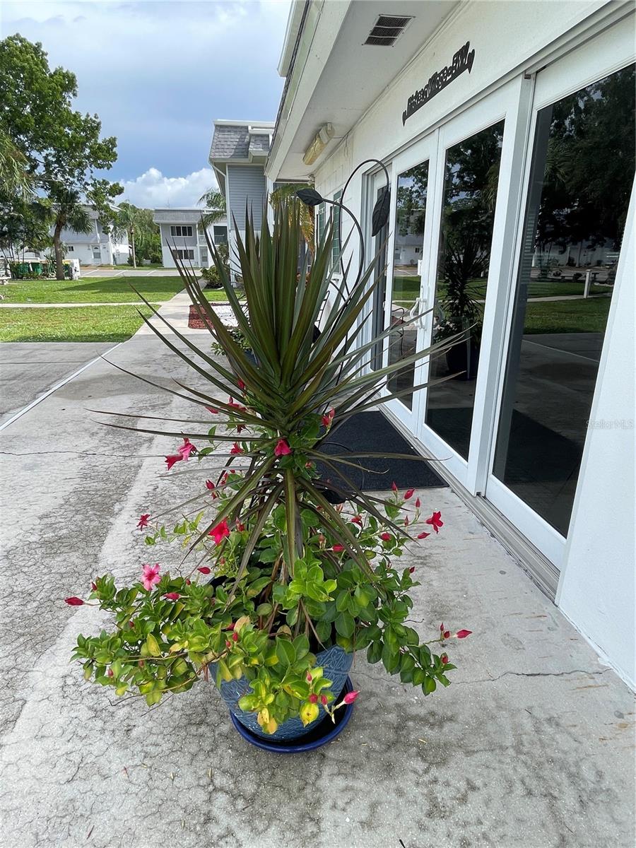 EDGEWATER VILLAGE - Residential