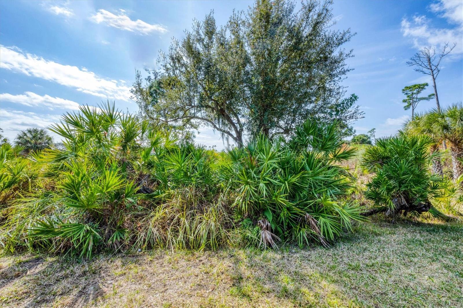 HERON CREEK - Residential