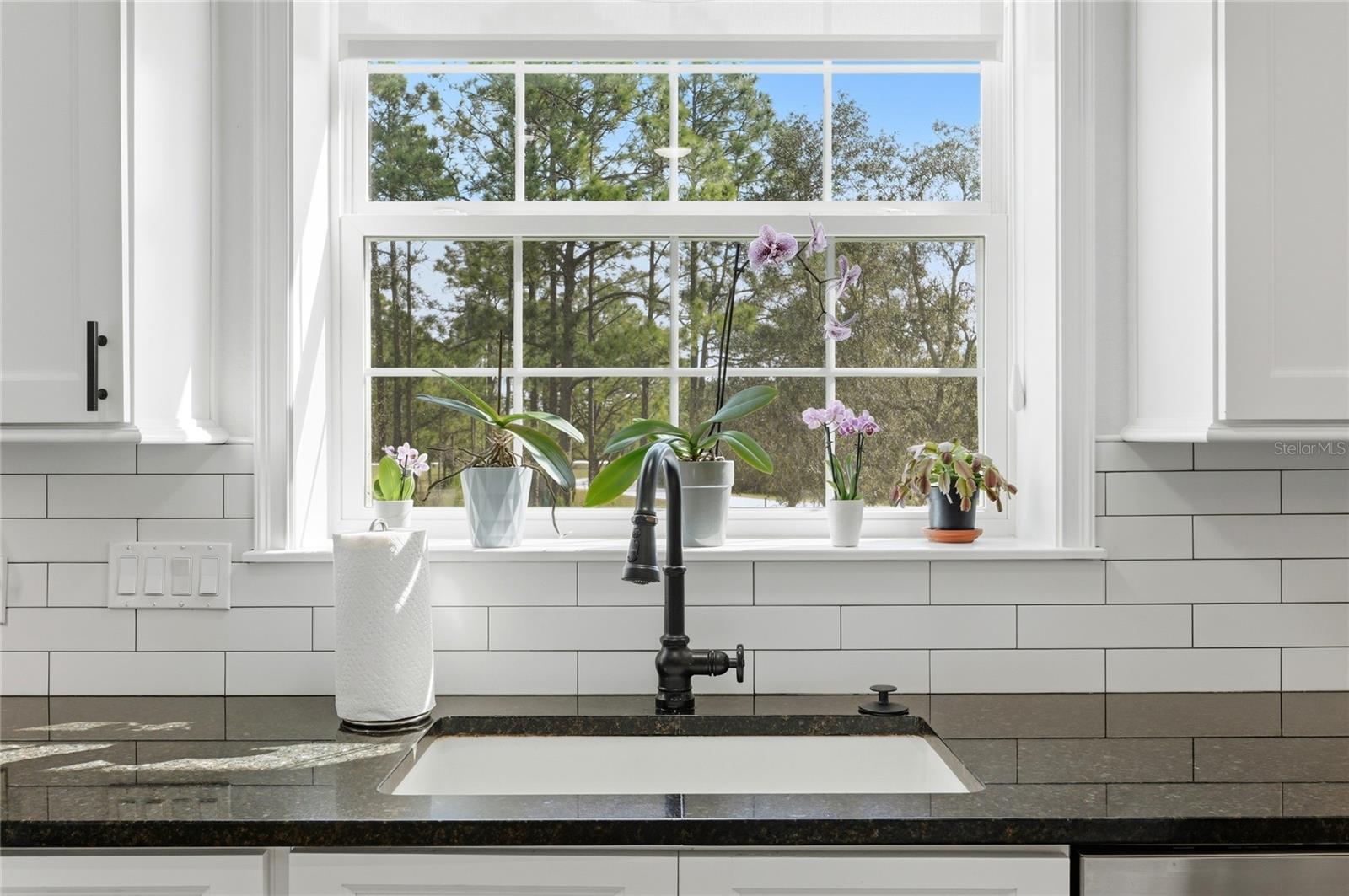 BLUE JORDAN FOREST - Residential