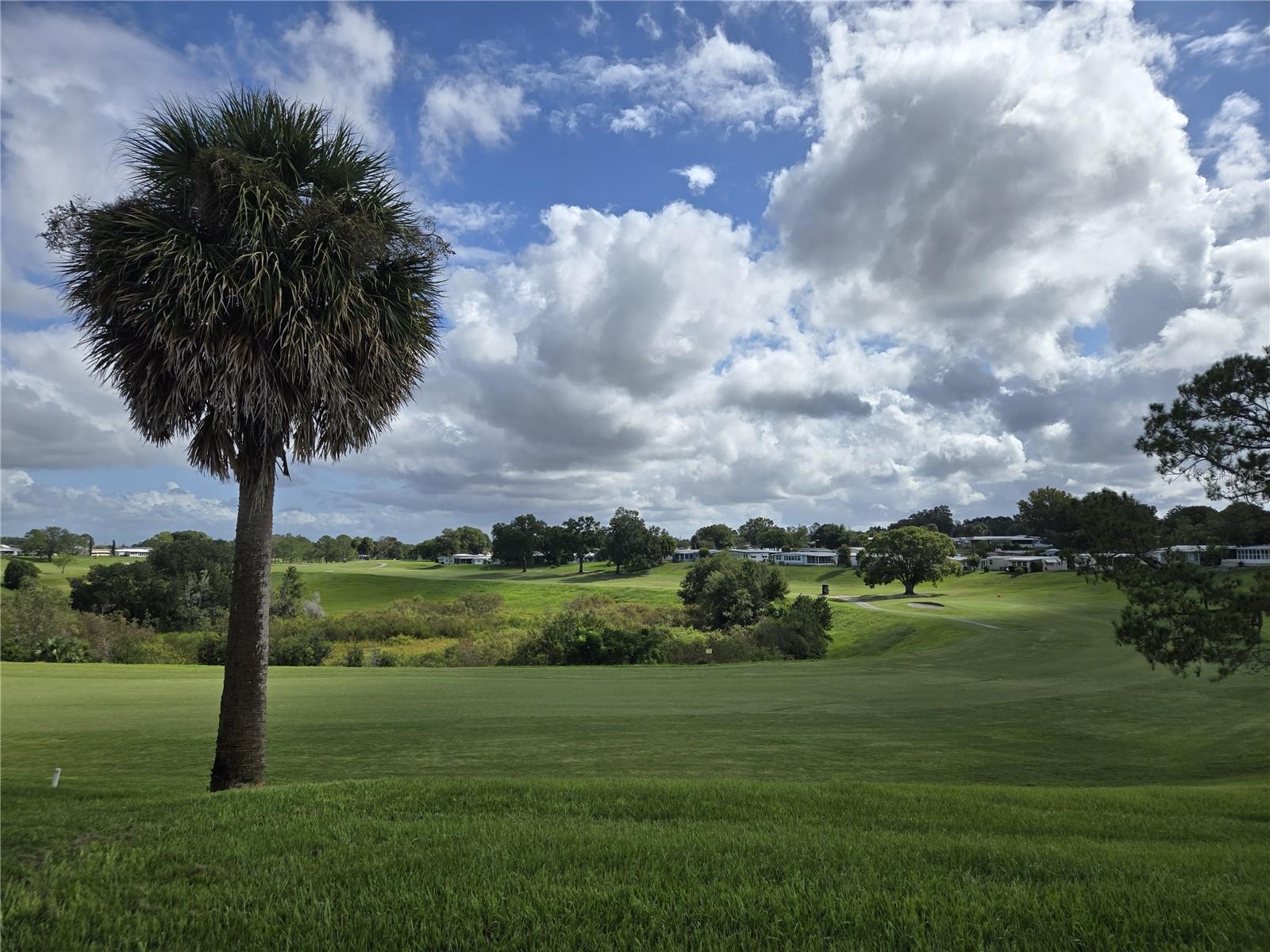 CITRUS RIDGE VILLAGE CONDO - Residential