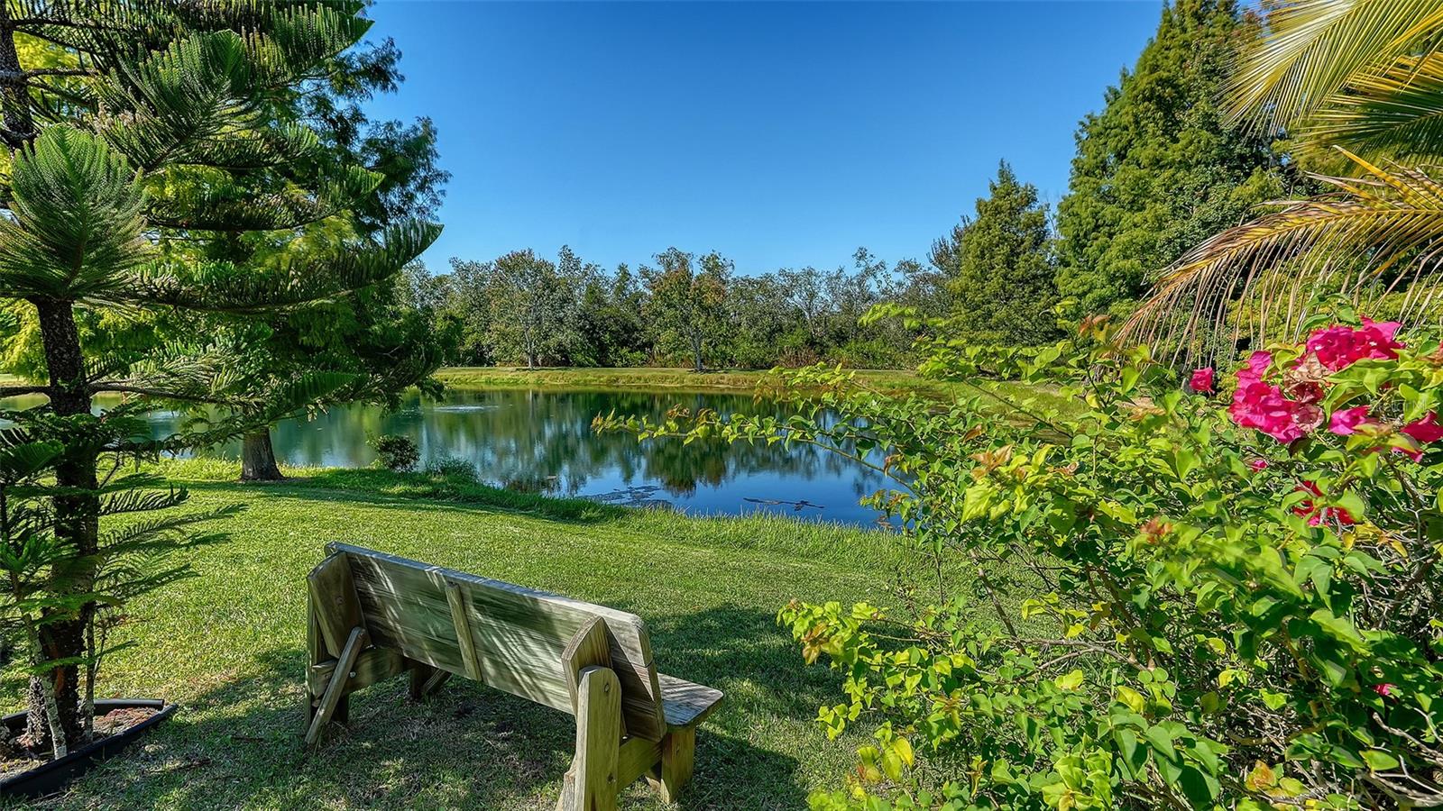 RIVA TRACE - Residential