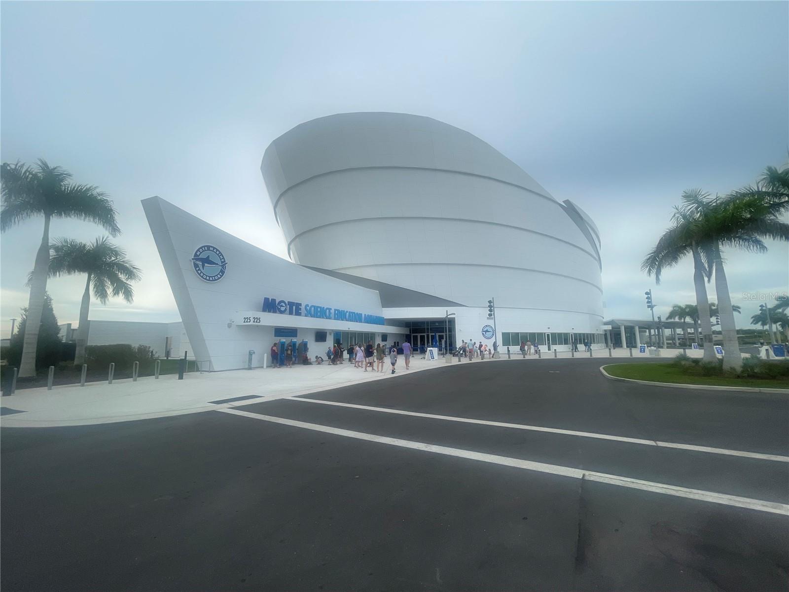 RIVA TRACE - Residential