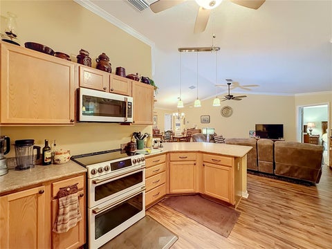 Tiny photo for 1016 Matthew Avenue, Lady Lake, FL 32159 (MLS # OM731342)
