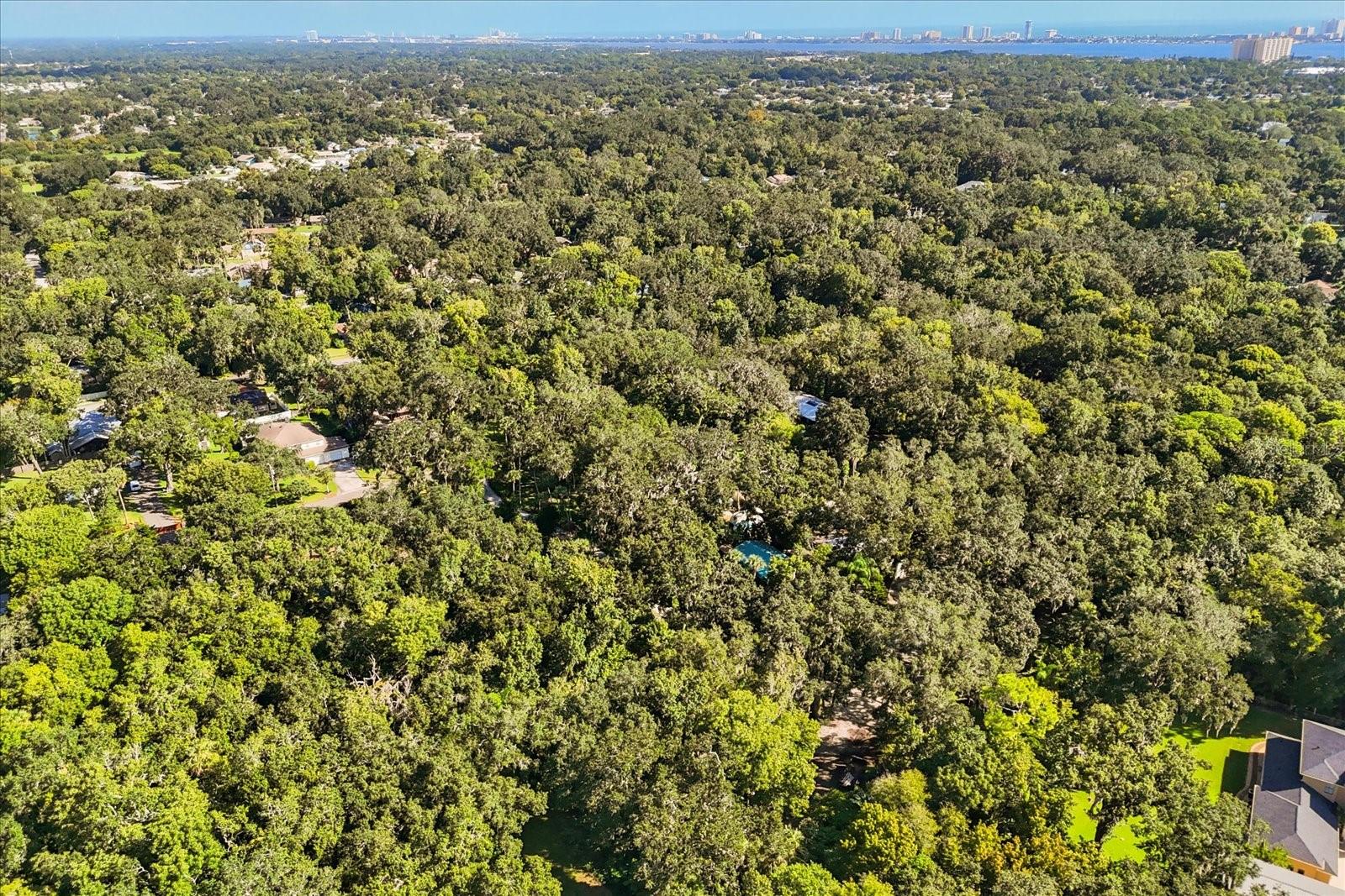 PLANTATION ACRES - Residential