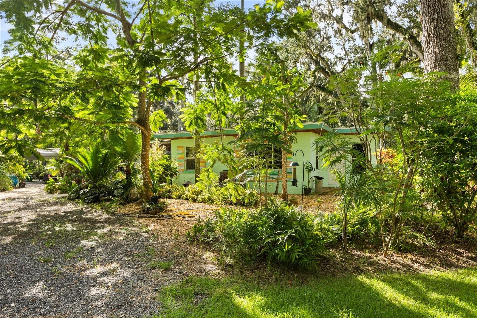 PLANTATION ACRES - Residential