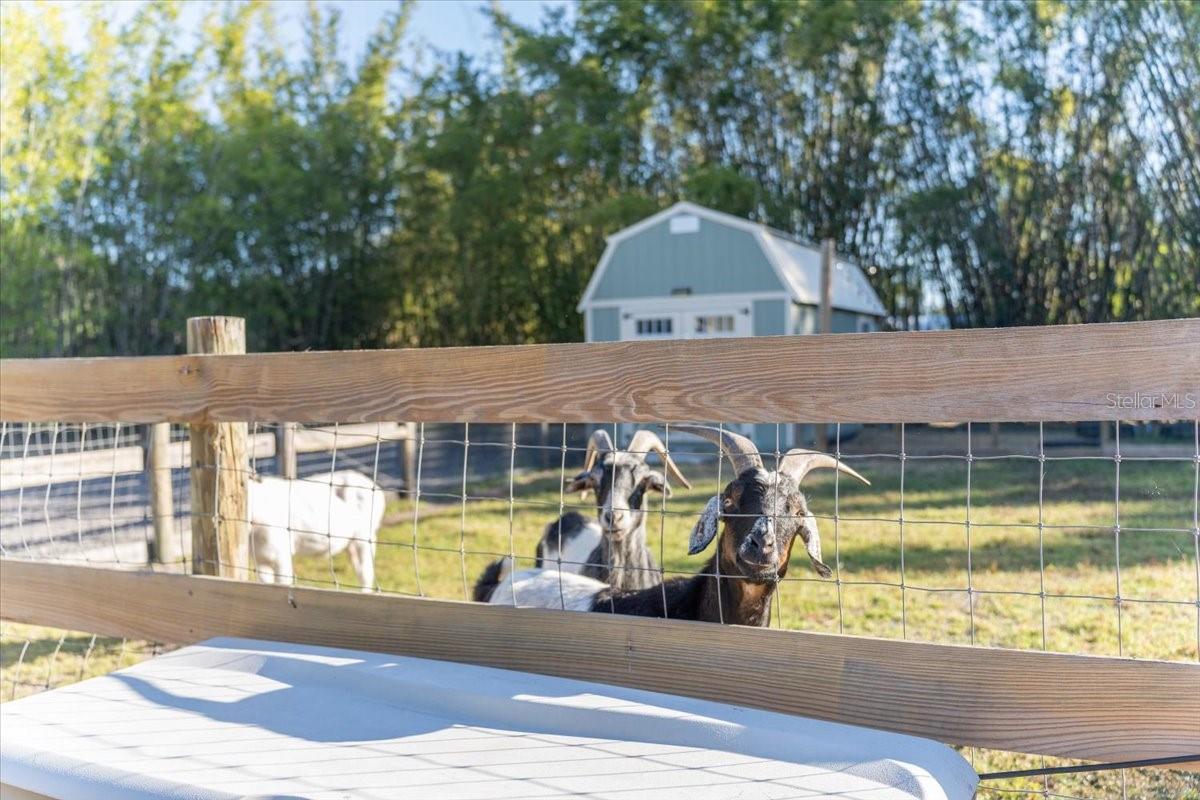 S L & I C - Residential