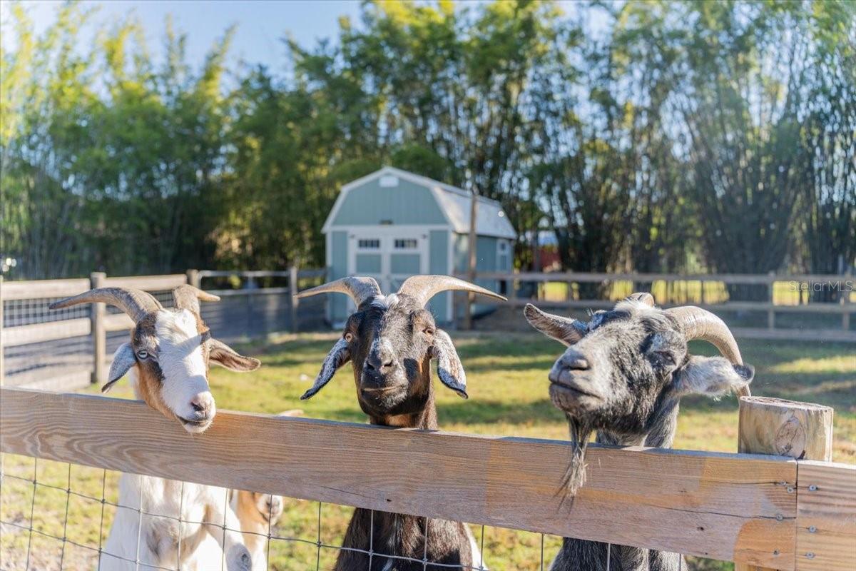 S L & I C - Residential