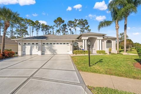 Photo of 18715 Dove Hollow Court, Hudson, FL 34667 (MLS # TB8448704)