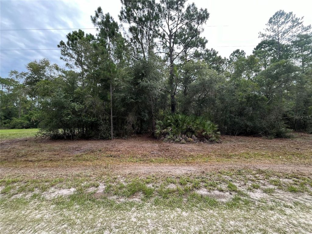Photo of 122 Glenside Street, Georgetown, FL 32139 (MLS # K4903414)