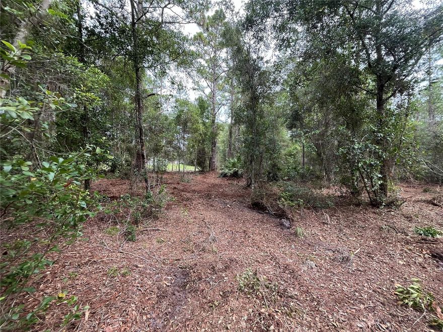 Owner financing available. Discover a great opportunity to build your dream home in the growing city of Georgetown on this high and dry lot set in a peaceful, natural setting. The area offers abundant outdoor activities including boating, fishing, hiking, and camping, and is just a short distance from Lake George. Conveniently located near schools, restaurants, parks, and local amenities.
Whether you’re planning to build a primary home, a vacation getaway, or hold as a long-term investment, this property offers excellent potential. The adjacent 124 Glenside lot is also available — purchase to own nearly half an acre.  Buyer to verify all property details including zoning, utilities, land use, and building requirements. All information deemed reliable but not guaranteed.