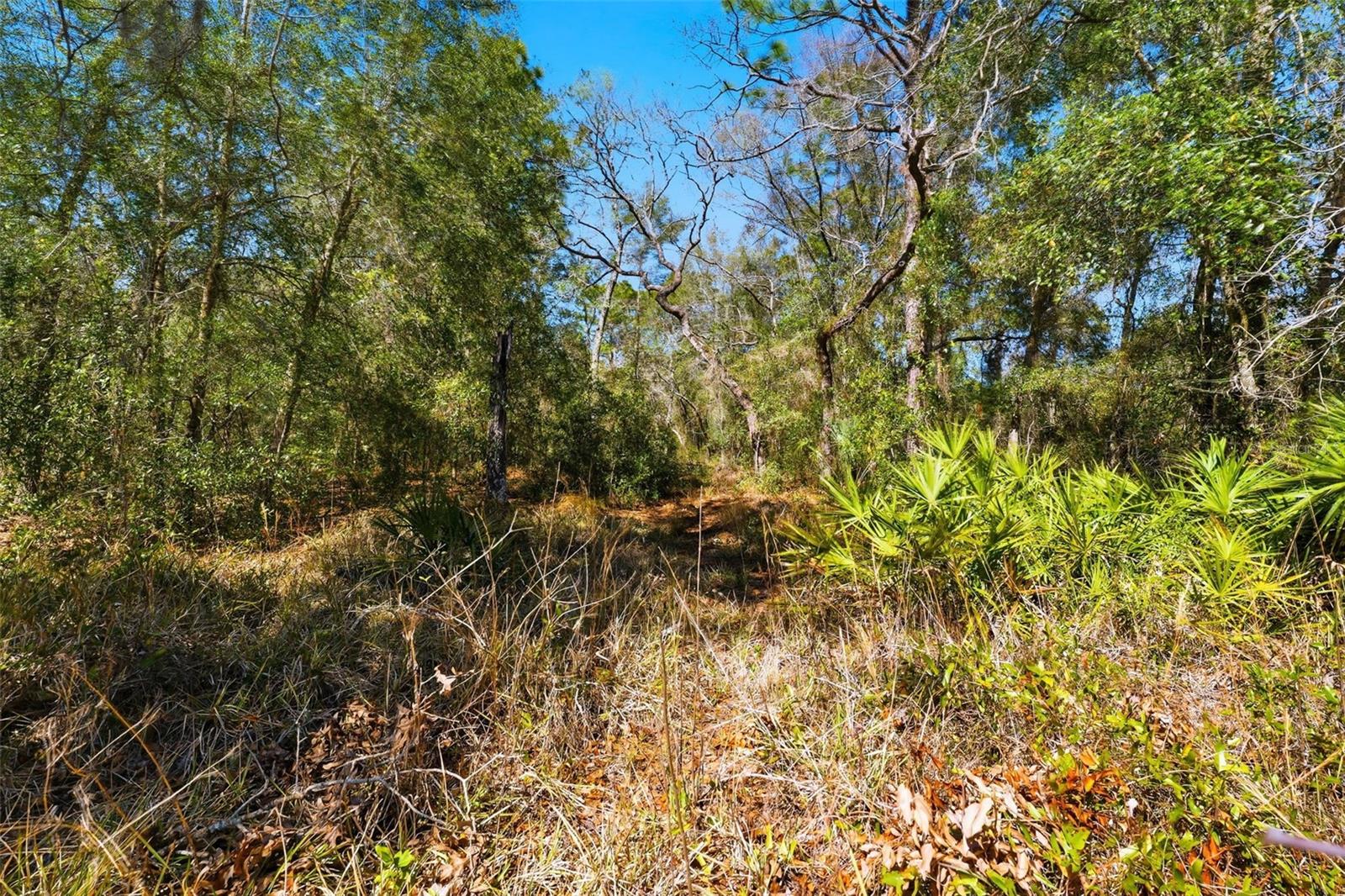 PORT RICHEY CO - Land