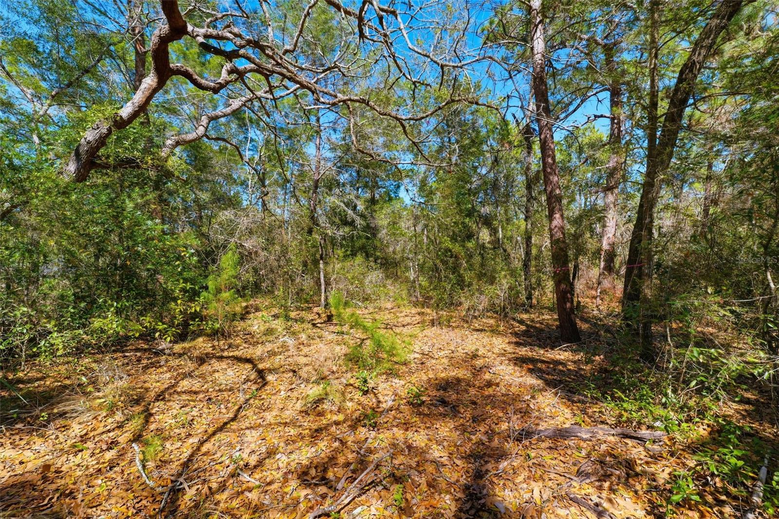 PORT RICHEY CO - Land