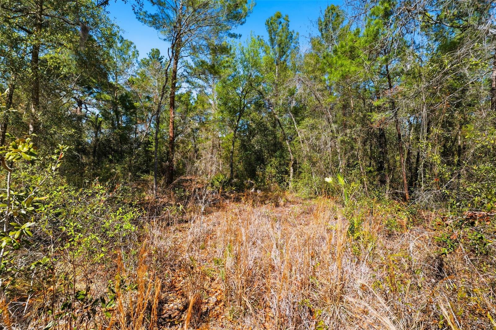 PORT RICHEY CO - Land