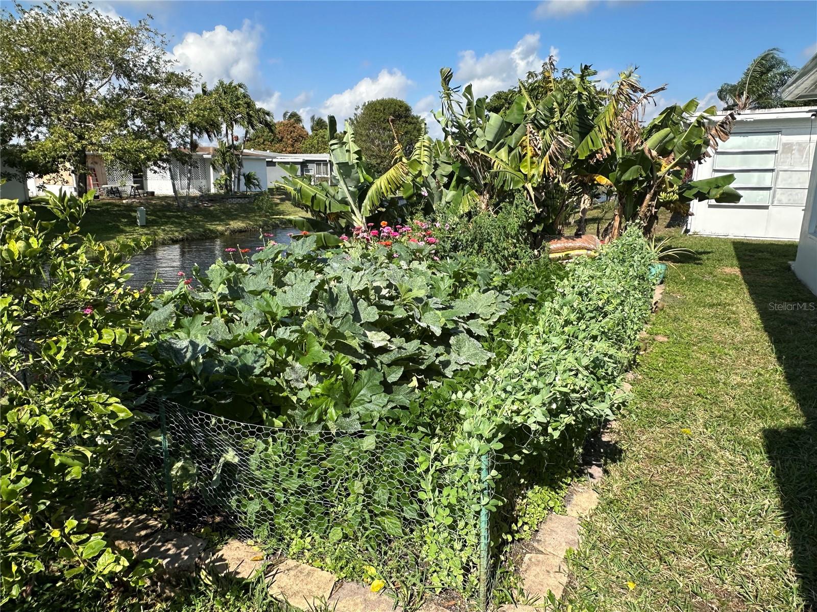 PARADISE GARDENS SEC 4 76-8 B - Residential