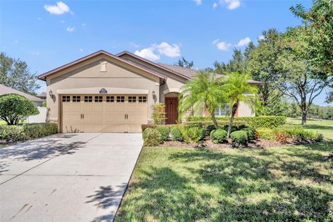 A home in MOUNT DORA