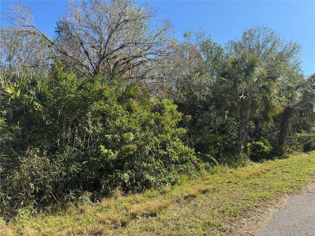 Photo of 194 Ray Street, Port Charlotte, FL 33954 (MLS # TB8338104)