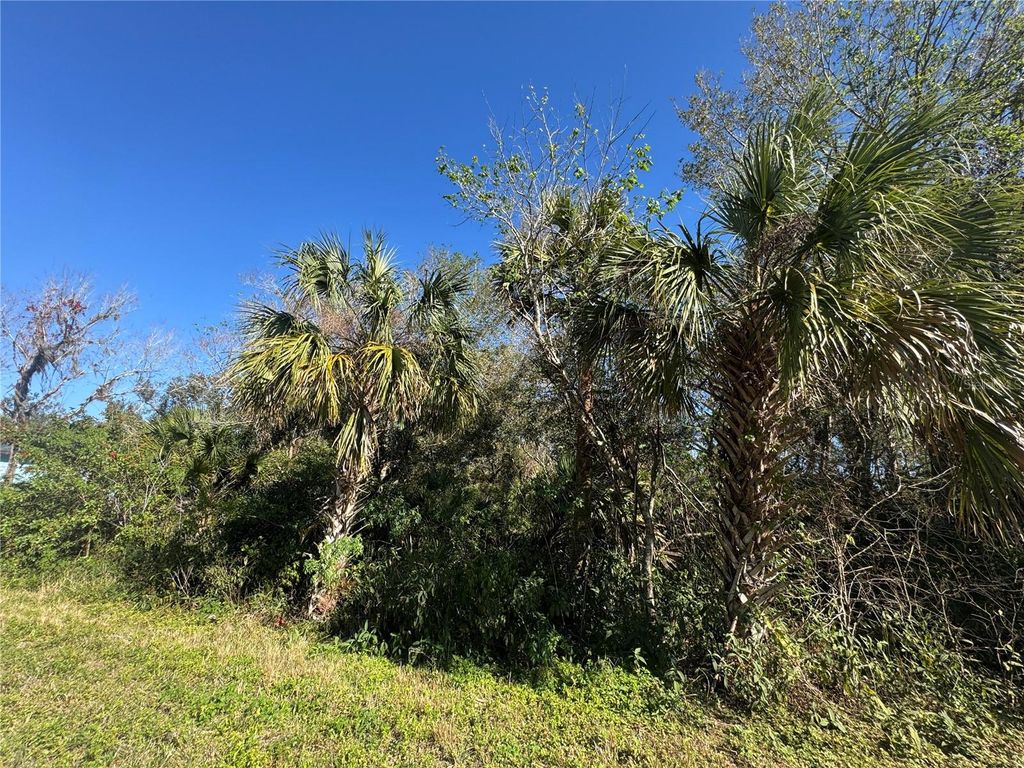 Photo of 194 Ray Street, Port Charlotte, FL 33954 (MLS # TB8338104)