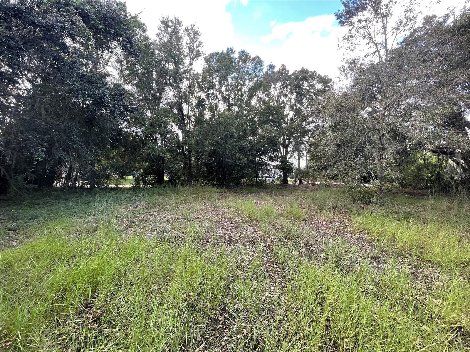 LOCATION LOCATION LOCATION! A rare find of a one acre homesite available in the beautiful established community of Meadowbrook Estates. NO HOA or CDD restrictions to add to your tax bill and horses are allowed along with others. The mature trees allow for a perfect spot in the middle to build your home. It is located only a short ride to the Sun Coast Parkway. It is only minutes from all the fun in Land O Lakes and Lutz.