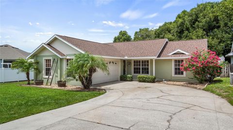 11746 OSWALT ROAD CLERMONT FL 34711