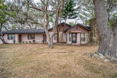 A home in POLK CITY