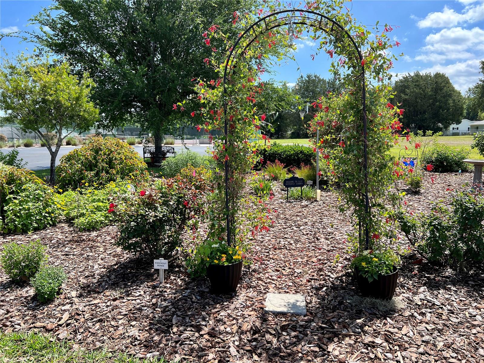 SPRUCE CREEK PRESERVE - Residential