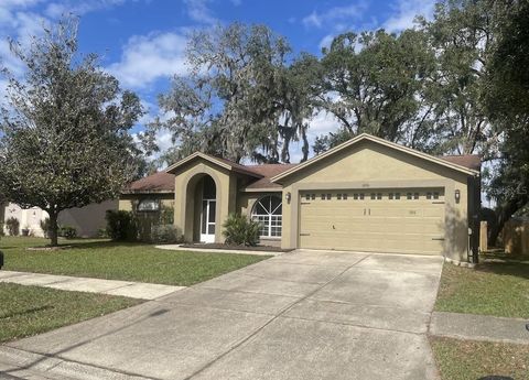 A home in VALRICO