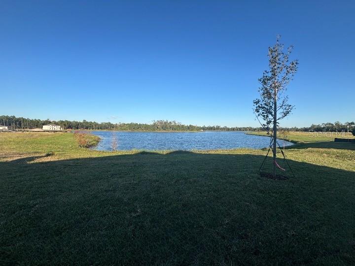 ARDISIA PARK - Residential