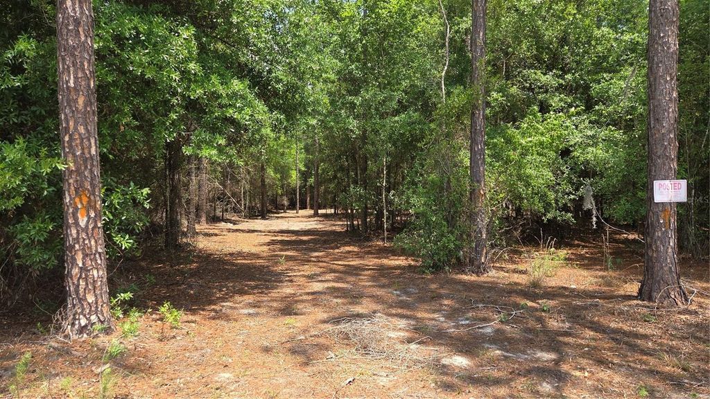 Photo of SW 61st Place, Newberry, FL 32669 (MLS # GC540506)