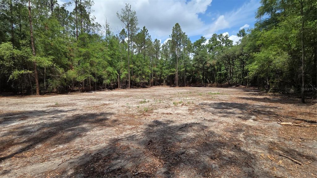 Photo of SW 61st Place, Newberry, FL 32669 (MLS # GC540506)