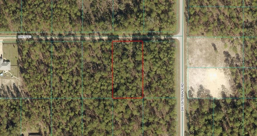 Only 1 Lot from SW 129th (Paved Road) with easy access on paved roads from
both 484 and 140th. Build your home on this 1.16 acre rectangular lot in Rolling Hills Unit 2 (Dunnellon area of Rolling Hills). You will want to build your new site built home here. This neighborhood is in great demand and there is a lot of new construction going on here. Only 17 minutes to the World Equestrian Center, 20 minutes to Rainbow Springs State Park in nearby Dunnellon. The lot is treed, so you will be able
to pick which trees you want to stay on your property. Flood zone X, not in a county prone flood zone either.