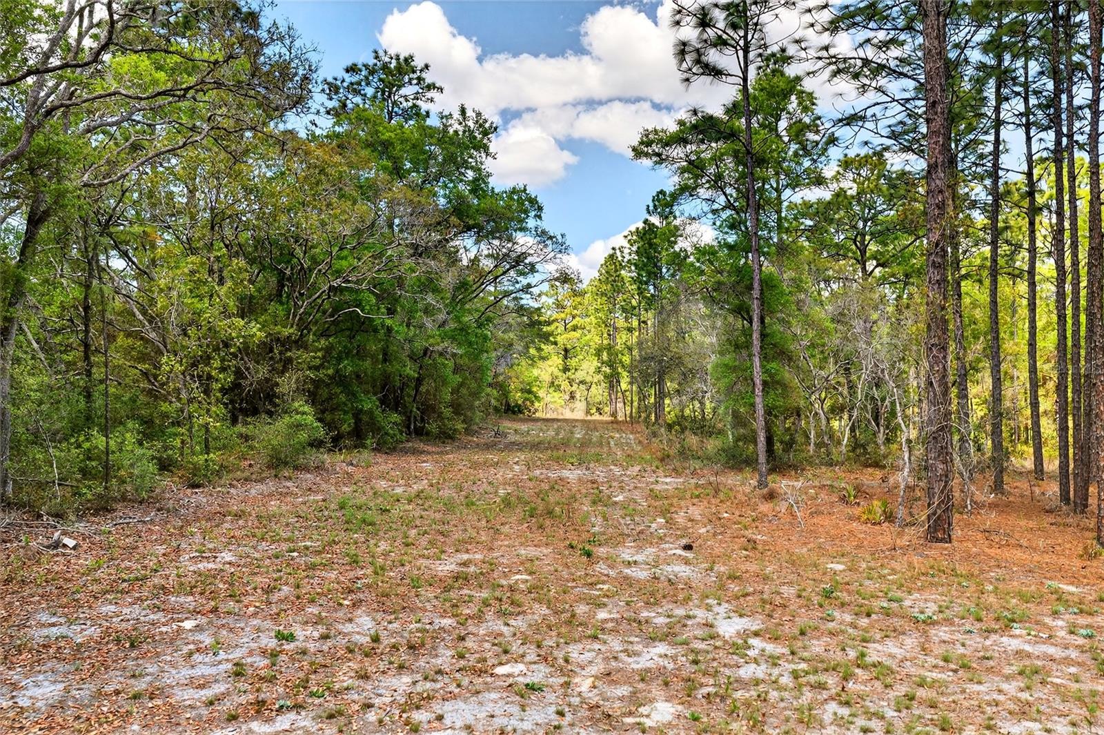 MINI FARMS UNITS 03 & 04 UNREC - Residential