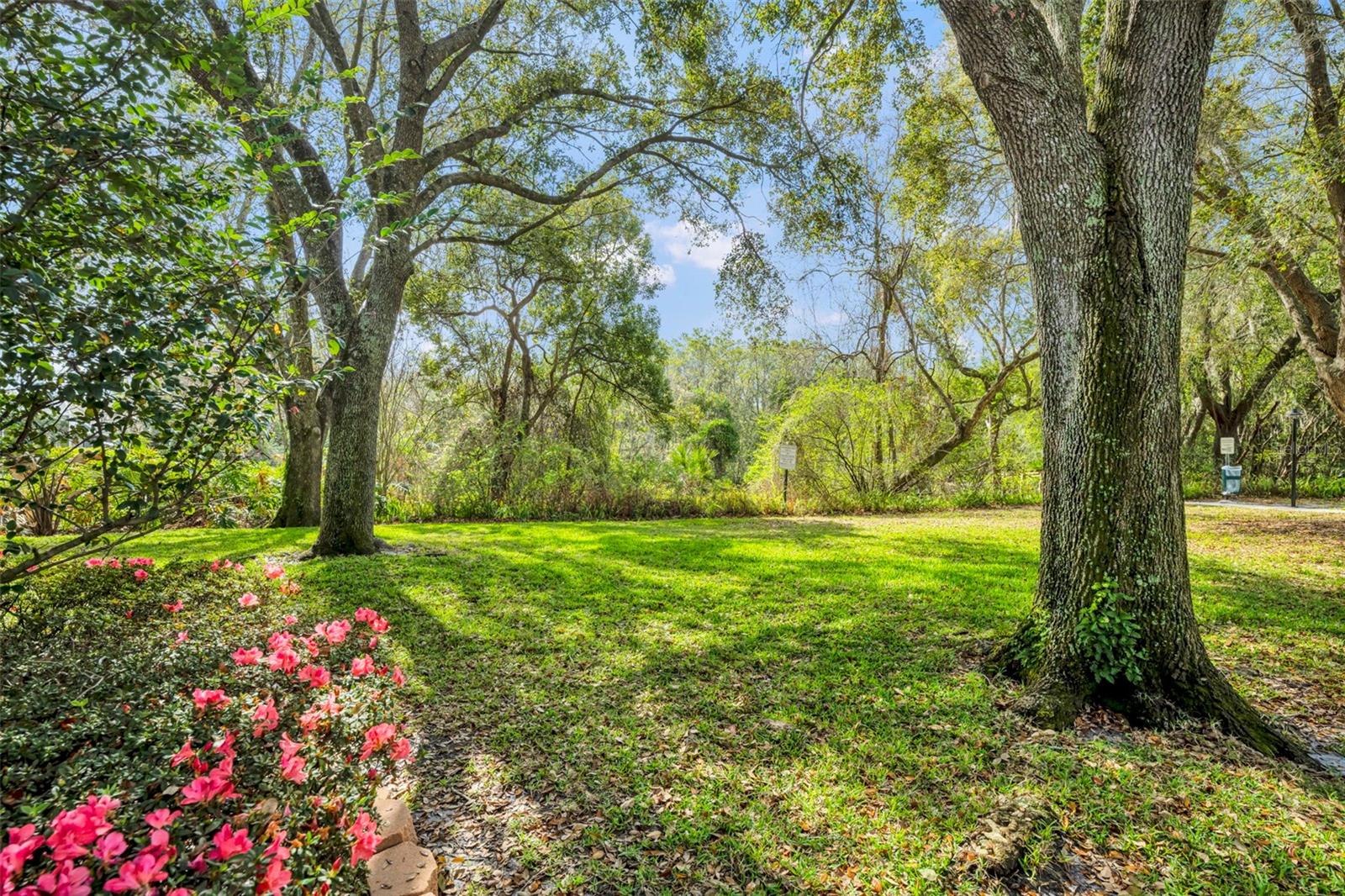 LAKES OF ALOMA - Residential