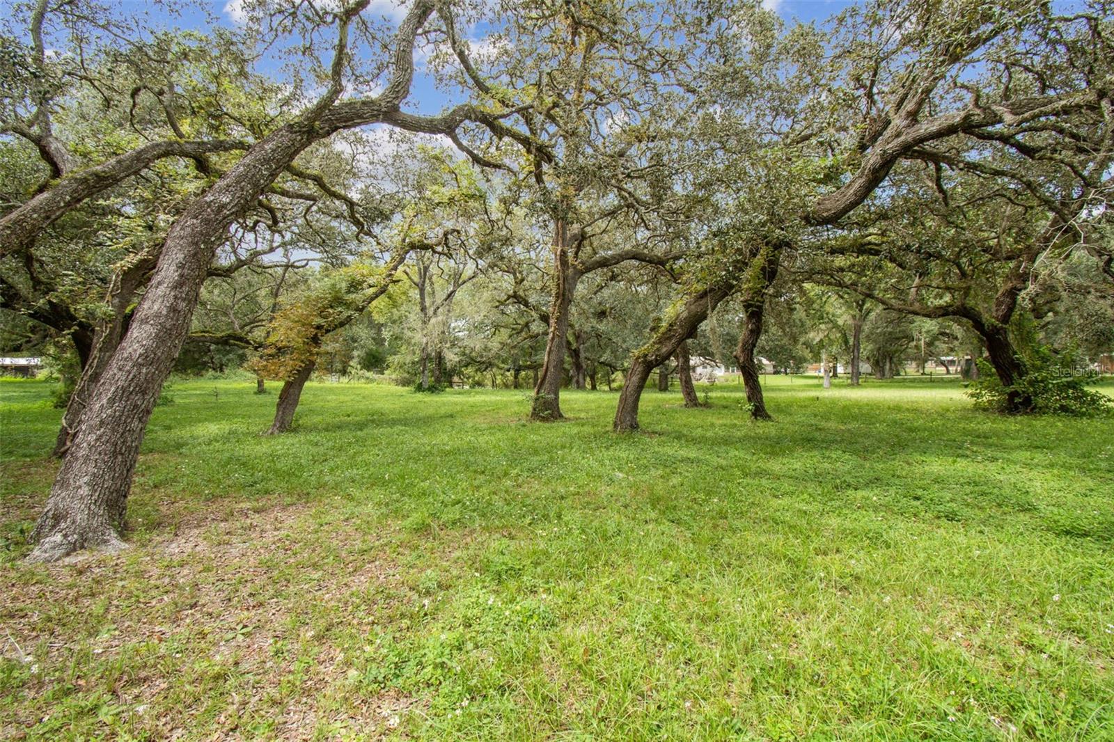 CROOM A COOCHEE ESTATES - Residential