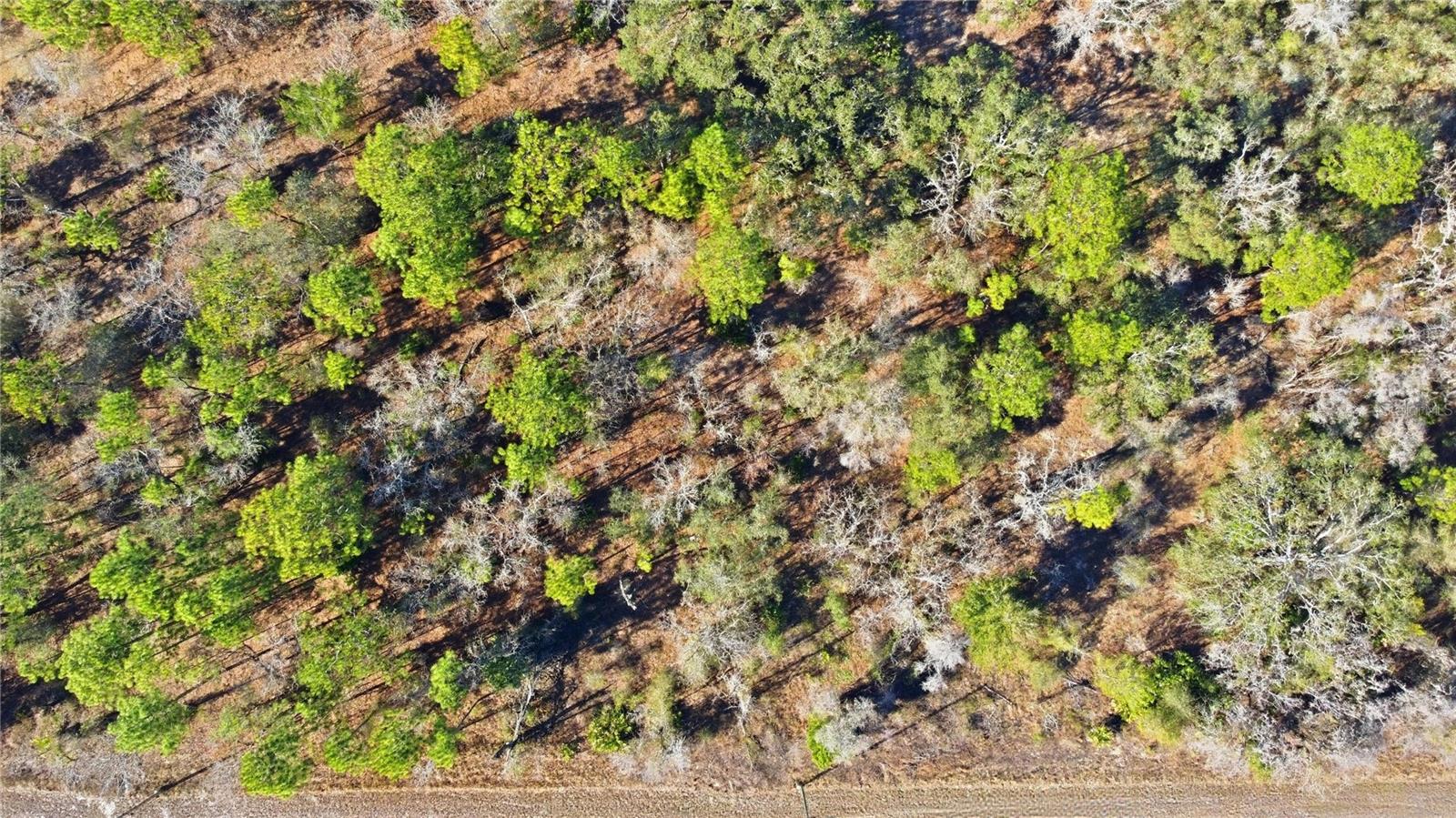 ROYAL HIGHLANDS - Land