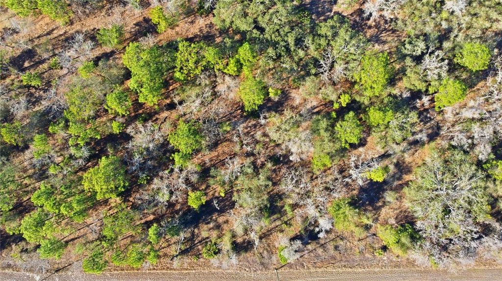 Photo of 00 Velvet Scoter Avenue, Weeki Wachee, FL 34614 (MLS # W7882805)