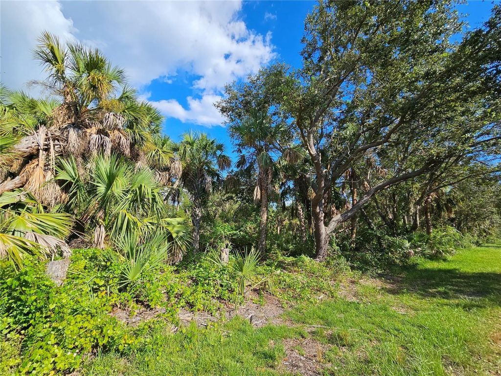 Photo of 3278 Century Street, Port Charlotte, FL 33948 (MLS # N6137812)