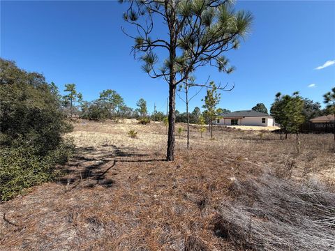 Tiny photo for 6725 N Killinger Terrace, Citrus Springs, FL 34433 (MLS # O6386848)