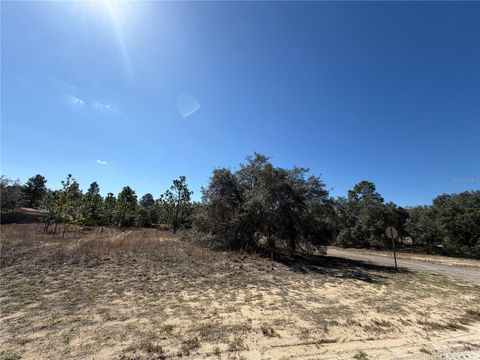 Tiny photo for 6725 N Killinger Terrace, Citrus Springs, FL 34433 (MLS # O6386848)