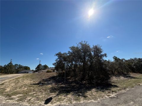 Tiny photo for 6725 N Killinger Terrace, Citrus Springs, FL 34433 (MLS # O6386848)