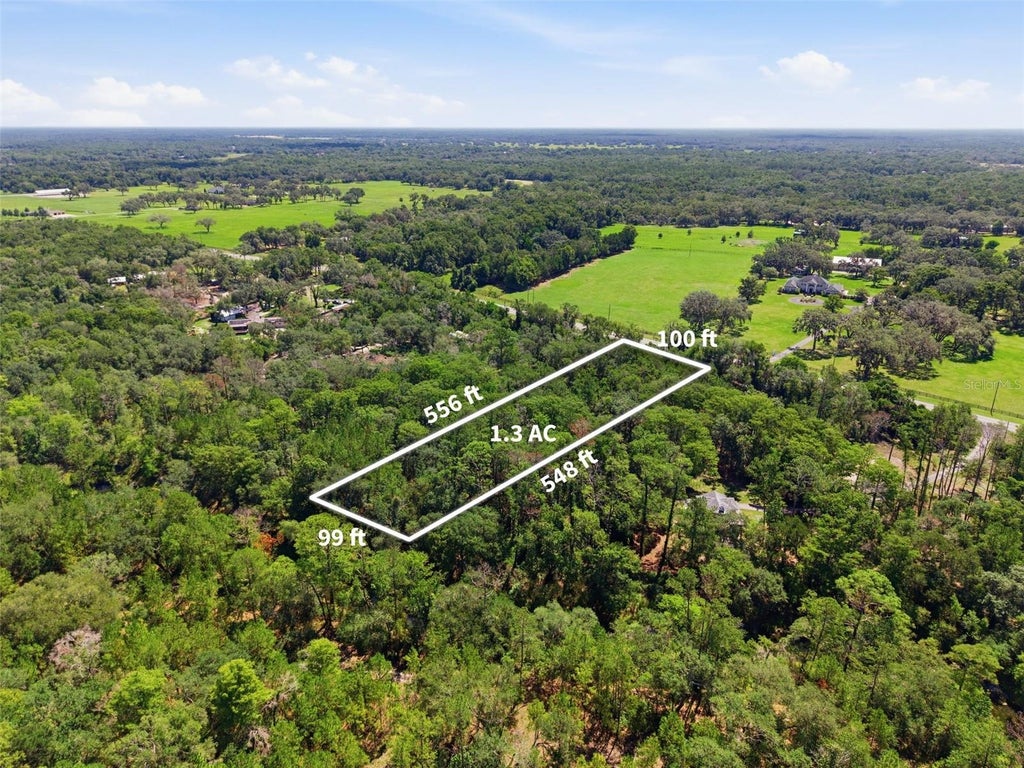 Photo of Mckethan Road, Dade City, FL 33523 (MLS # TB8525668)